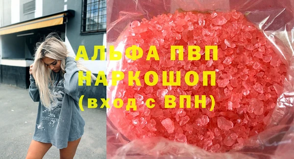 гашик Белокуриха