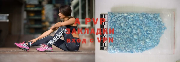 гашик Белокуриха