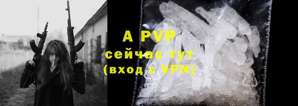 гашик Белокуриха