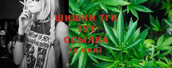 гашик Белокуриха