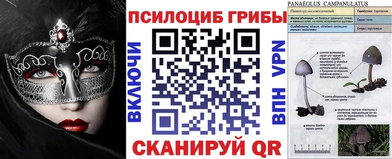 Галлюциногенные грибы Cubensis  Купить где  Фрязино 